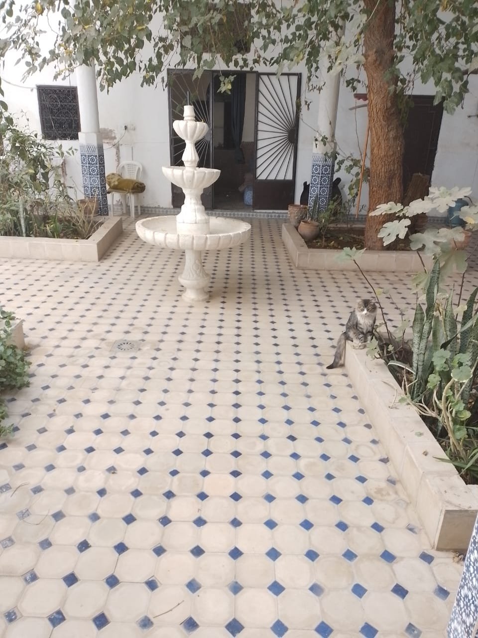 Riad  a vendre