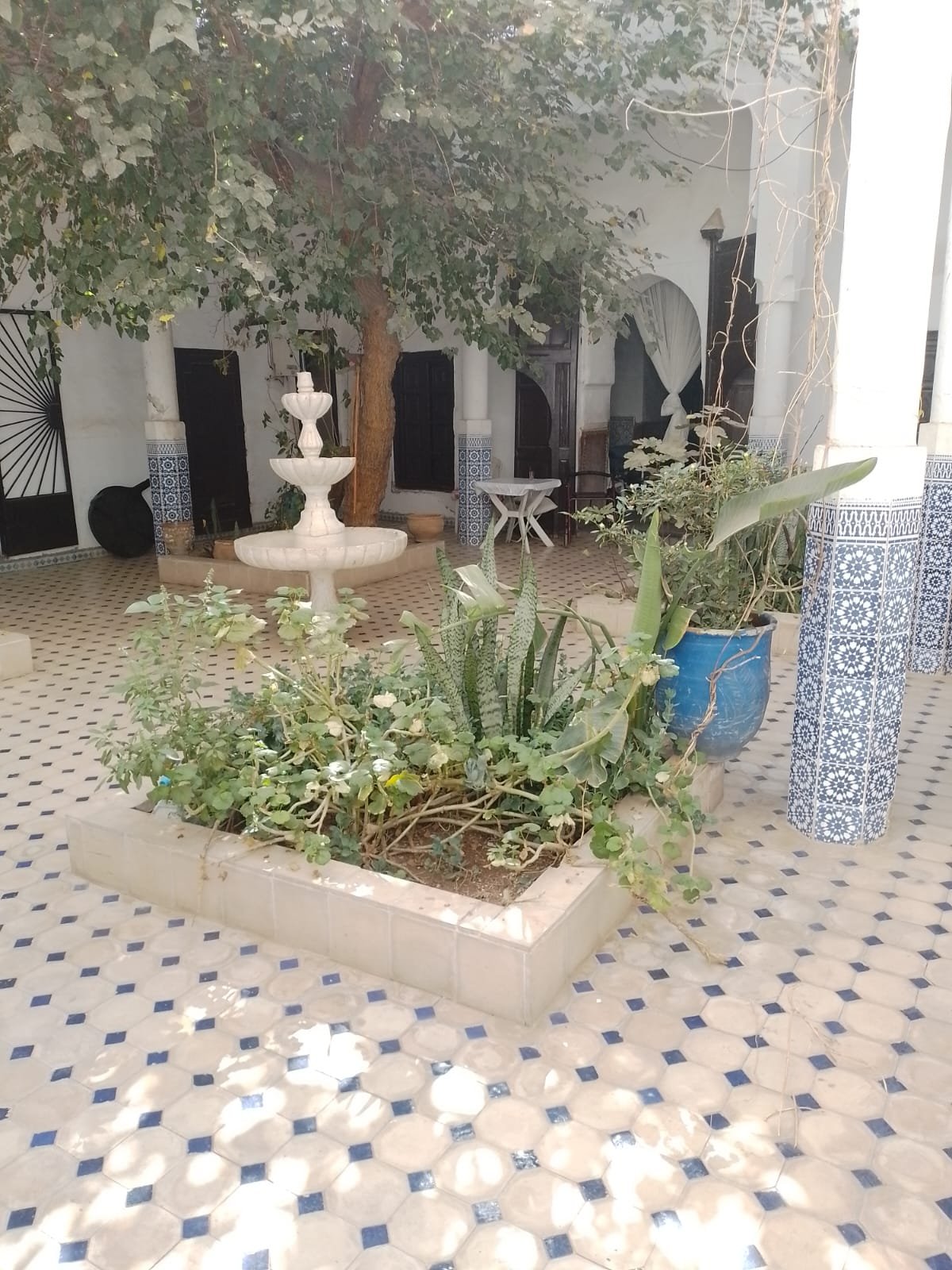 Riad  a vendre — photo 2